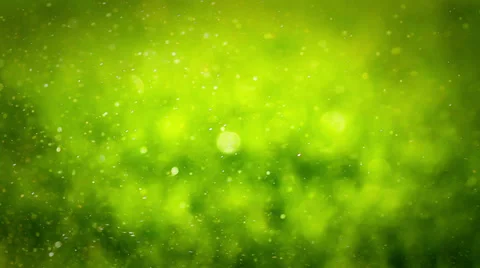 Lawn watering Stock Footage 34371407