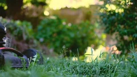 Lawnmover cutting grass in a garden fixed scene 4k Stock Footage 130072293