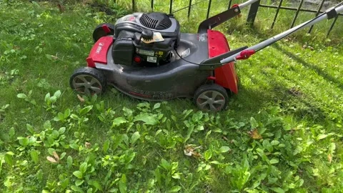 Lawnmower close-up Stock Footage 249356958