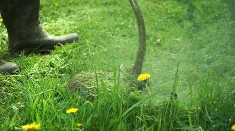 Lawnmower cuts the grass Stock Footage 63535169