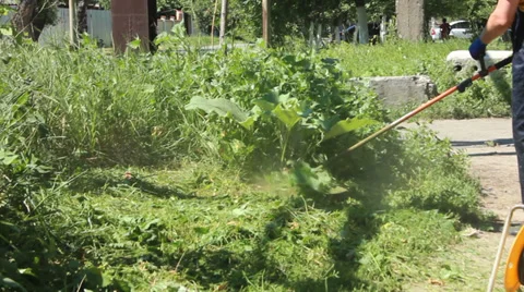 Lawnmower Video stock 32703498