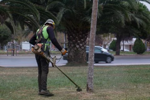 Lawnmower with machine Stock Photos