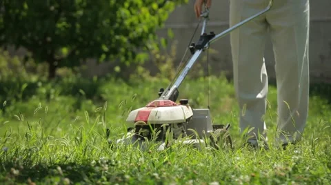 Lawnmower Man Video stock 52432793