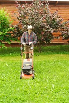 The lawnmower man Foto stock