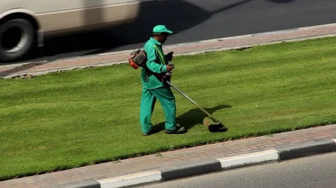 Lawnmower man with string trimmer walk on divider lawn, green grass stripe Stock Footage 60046352