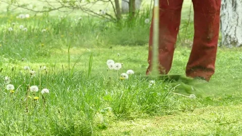 Lawnmower mowing grass Video stock 69999839