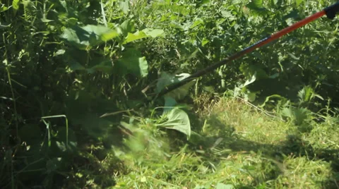 Lawnmower mows the grass on the roadside Video stock 32703590