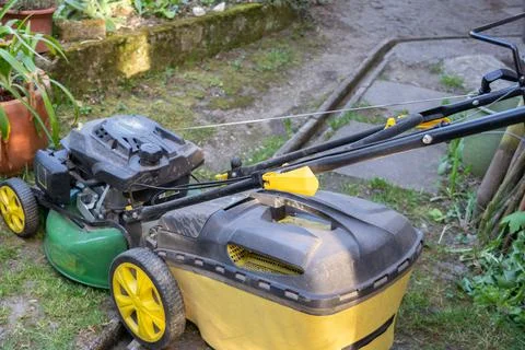 Lawnmower on stone path between spring flowers. Stock Photos