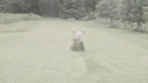 LawnMower Time lapse #1 Stock Footage 41466850