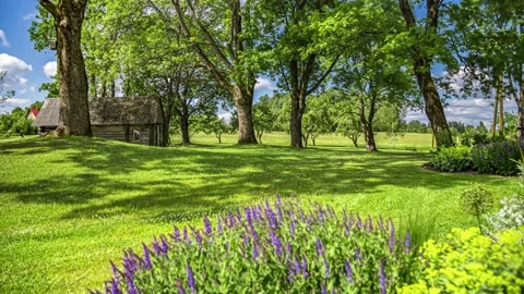 Lawnmower timelapse cutting lawn spring sunny weather Stock Footage 337463568