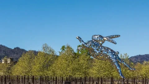 Lawrence Argent's Bunny Foo Foo Stock Footage 172422865