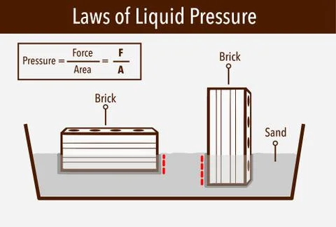 Laws of liquid pressure vector illustration Illustrazione stock