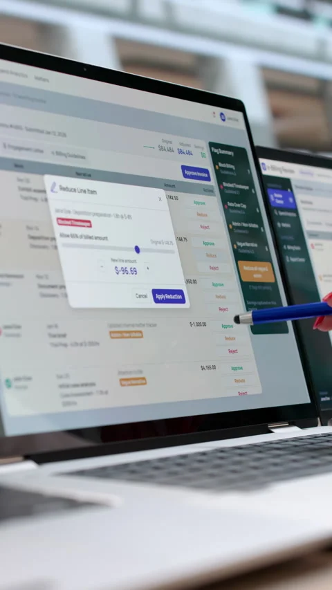 Lawyer Carefully Reviews E-billing Software Stock Footage 343880972