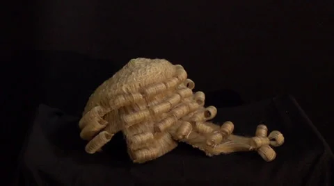 Lawyer's Wig Drops in Slo Mo Stock Footage