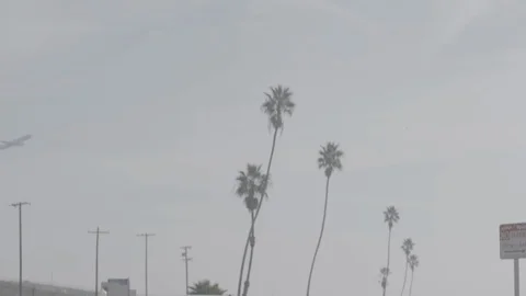 LAX Jet Takeoff 1 Stock Footage 100301213