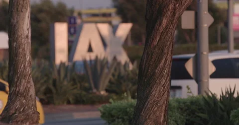 LAX Rack Thru Trees Video stock 66653738