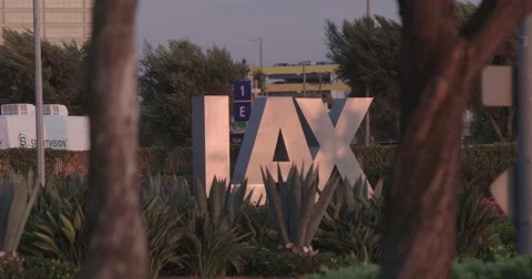 LAX Rack Thru Trees Stock Footage 66653767