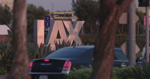 LAX Sign Tilt Down Thru Trees  Stock Footage 66653648