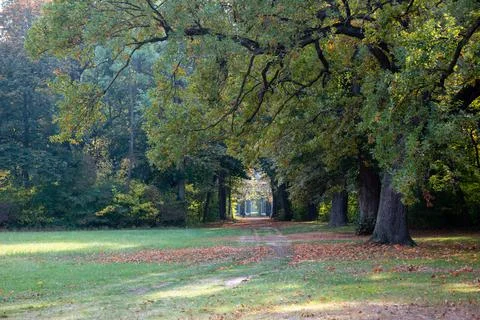Laxenburg park elements and plants, landscape and architecture at the autumn 库存照片