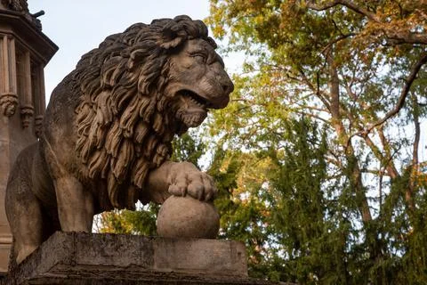 Laxenburg park elements and plants, landscape and architecture at the autumn 库存照片