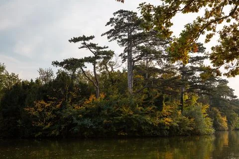 Laxenburg park elements and plants, landscape and architecture at the autumn Stock Photos