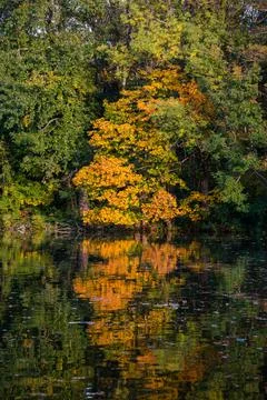 Laxenburg park elements and plants, landscape and architecture at the autumn 库存照片