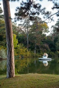 Laxenburg park elements and plants, landscape and architecture at the autumn 库存照片