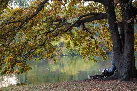 Laxenburg park elements and plants, landscape and architecture at the autumn 写真素材