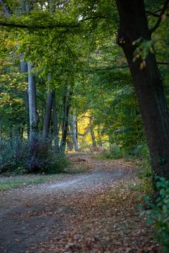 Laxenburg park elements and plants, landscape and architecture at the autumn 库存照片