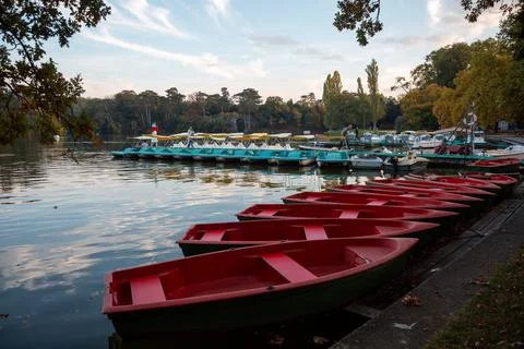 Laxenburg park elements and plants, landscape and architecture at the autumn 库存照片