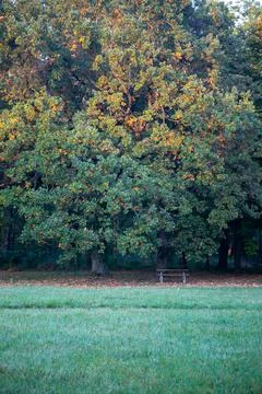 Laxenburg park elements and plants, landscape and architecture at the autumn Stock Photos