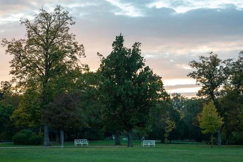 Laxenburg park elements and plants, landscape and architecture at the autumn 库存照片