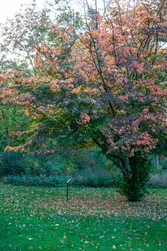 Laxenburg park elements and plants, landscape and architecture at the autumn Stock-Fotos