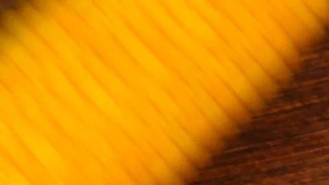 Lay boiled corn next to each other Video stock 84300377