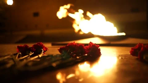 Lay carnations at the eternal flame Stock Footage 61821861