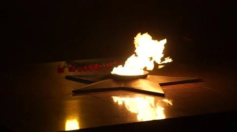 Lay carnations at the eternal flame Stock Footage 61822455