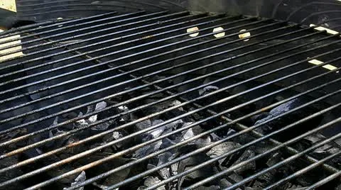 Lay the fish on grill Stockbeeldmateriaal 11273906