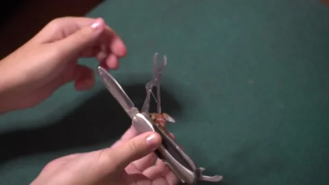 To lay out a clamshell knife with many gadgets Stock Footage 138869037