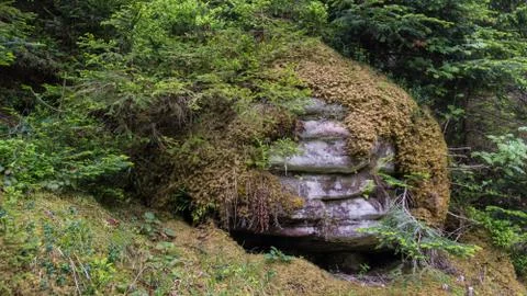 Layer boulder overgrown with plants Stock Photos