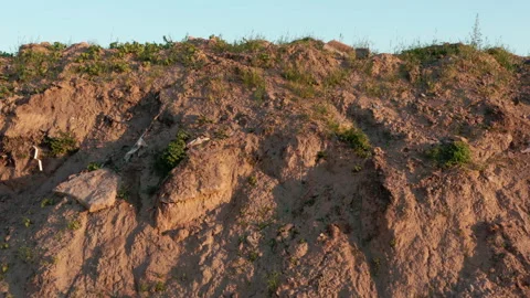 A layer of brown earth. Dug soil. Construction site Stock Footage 133589156