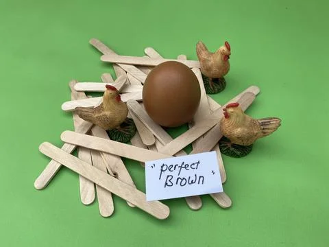Layer brown Egg Shell Quality and Feed Nutrition improvement Stock Photos