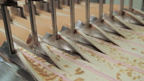 Layer Cakes Production Line Stock Footage 157746917