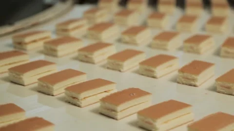 Layer Cakes Production Line Stock Footage 157746967