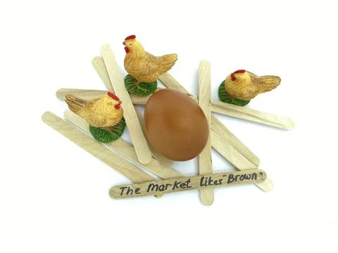Layer chicken Egg Shell Quality and Feed Nutrition Stock Photos