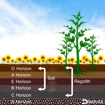 Layer of earth Stock Illustration