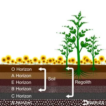 Layer of earth Stock Illustration