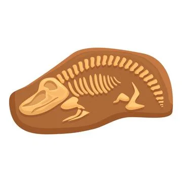 Layer fossil icon cartoon vector. Dinosaur skeleton Stock Illustration