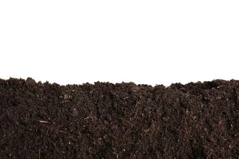 Layer of fresh soil isolated on white. Gardening time Stock Photos