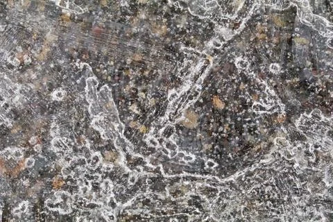 A layer of ice crystals lay over the pavement. Stock Photos