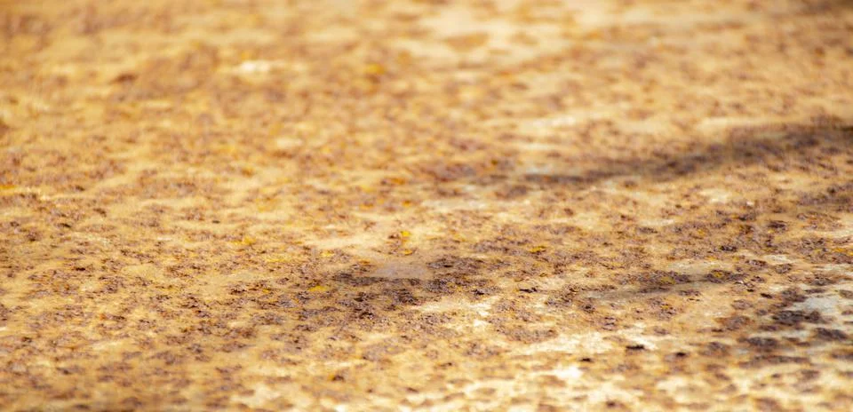 Layer of metal with selective focus. Background for industrial metalworking i Stock Photos